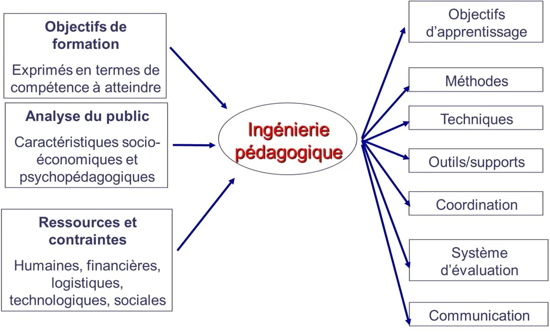 Organisation de l’ingénierie pédagogique chez Innovalangues